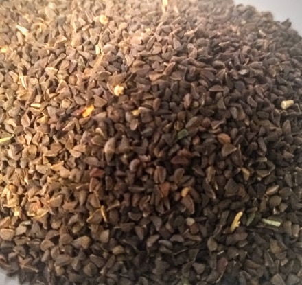 Peganum Harmala